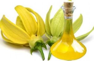 Ylang-ylang oil for skin rejuvenation